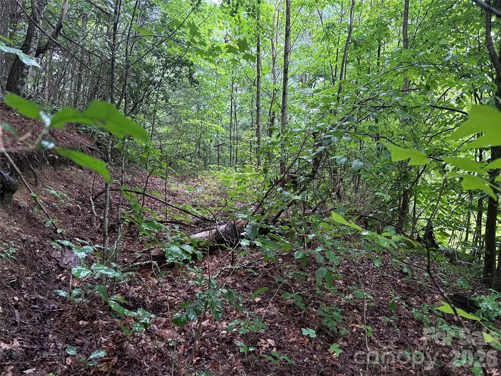 565 Pine Cone Trail Marshall, NC 28753