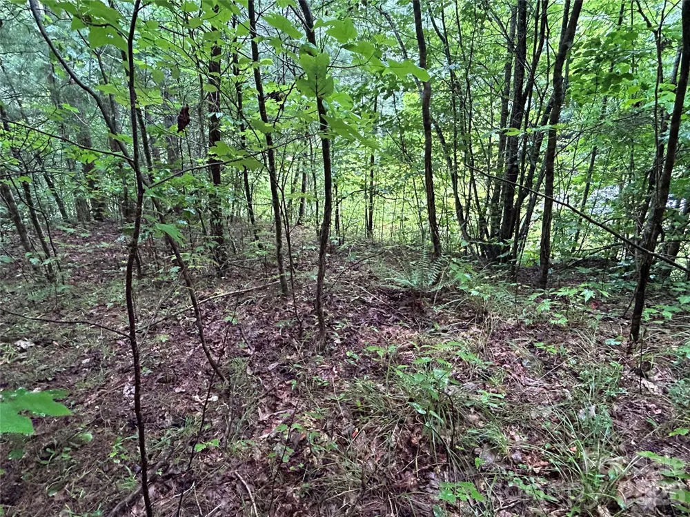 565 Pine Cone Trail Marshall, NC 28753