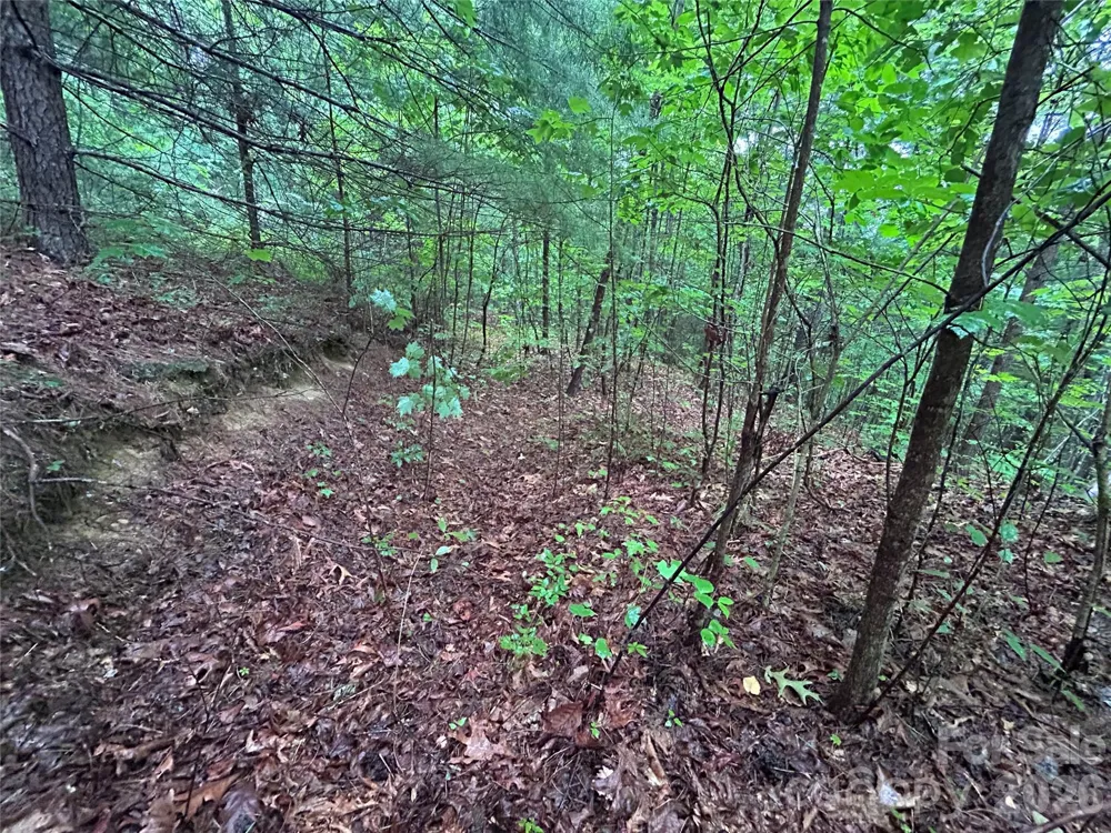 565 Pine Cone Trail Marshall, NC 28753