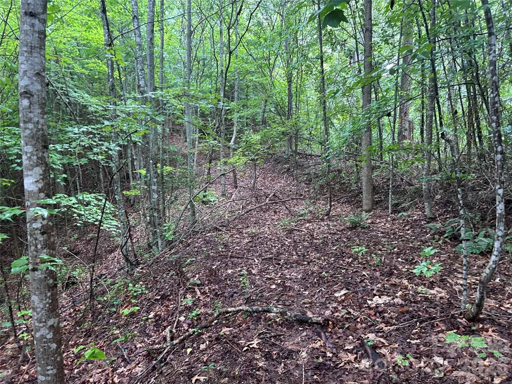565 Pine Cone Trail Marshall, NC 28753