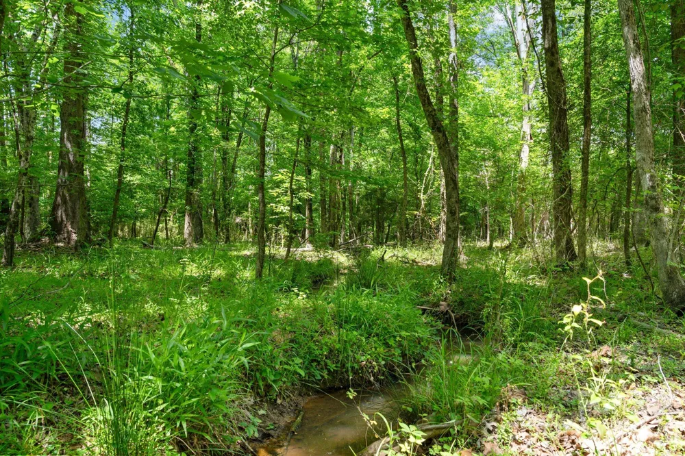 0000 Cool Branch Road #5 Carlisle, SC 29706