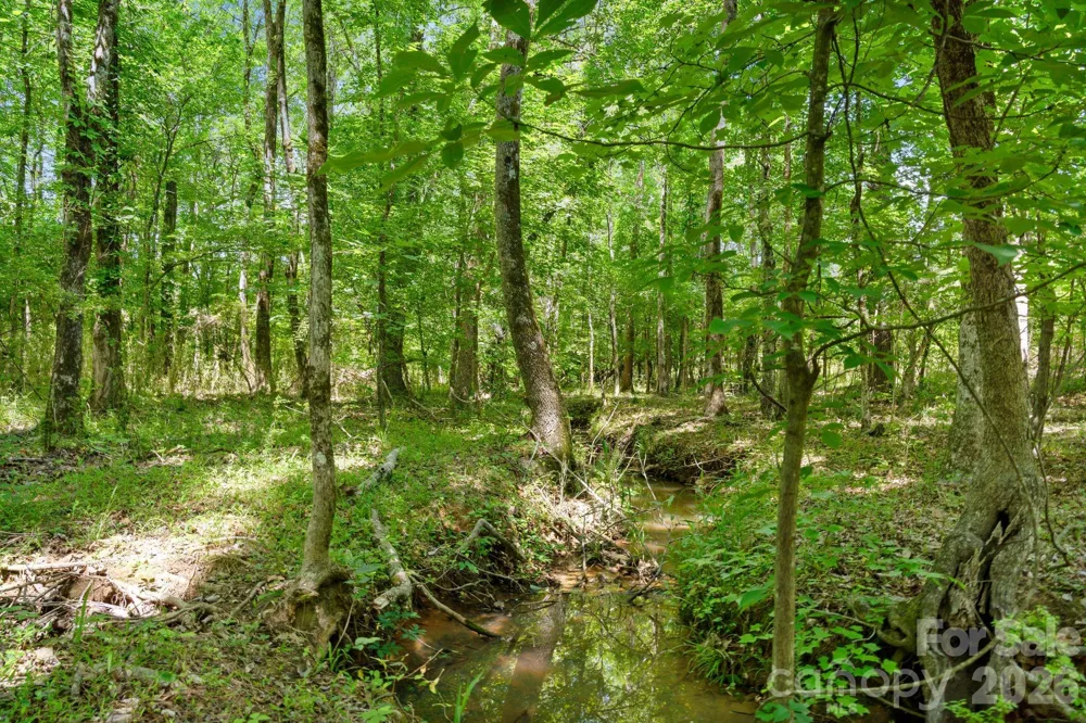 0000 Cool Branch Road #5 Carlisle, SC 29706