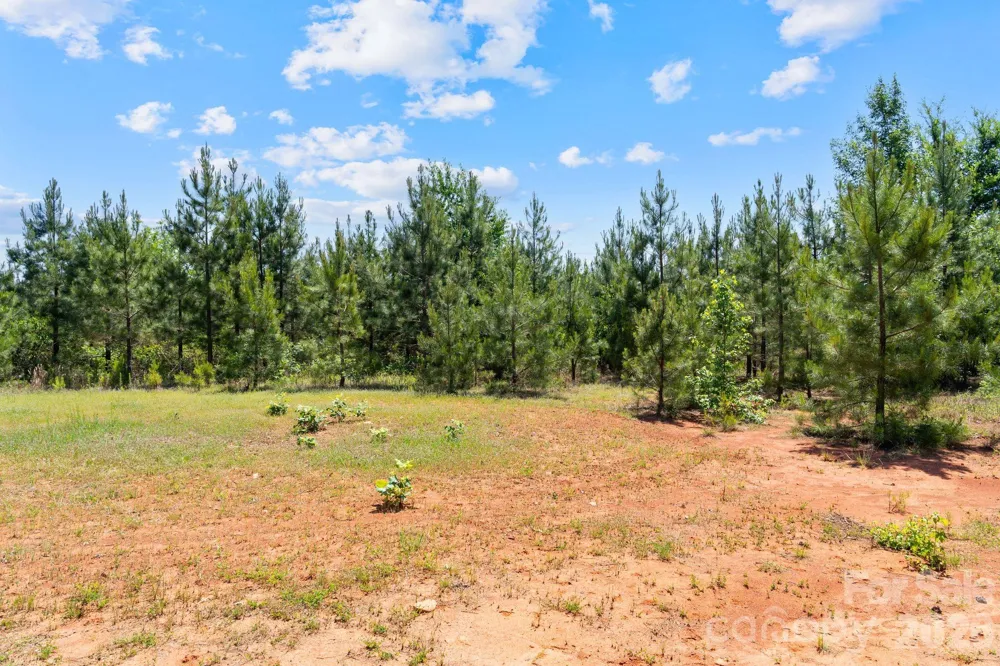 0000 Cool Branch Road #5 Carlisle, SC 29706