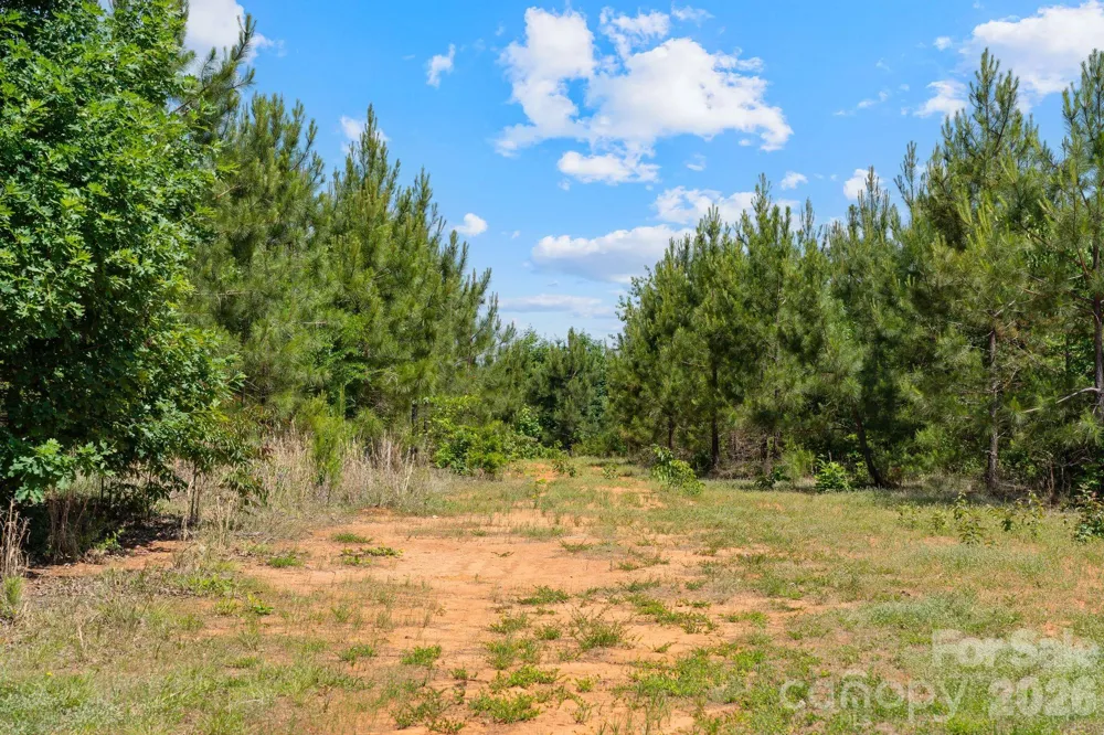 0000 Cool Branch Road #5 Carlisle, SC 29706