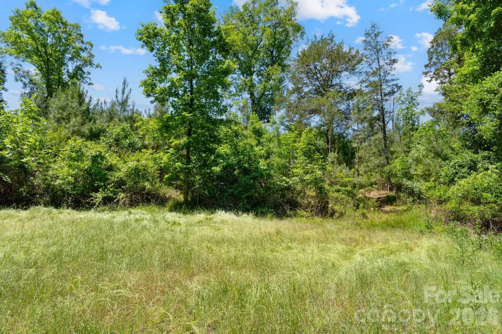 0000 Cool Branch Road #5 Carlisle, SC 29706