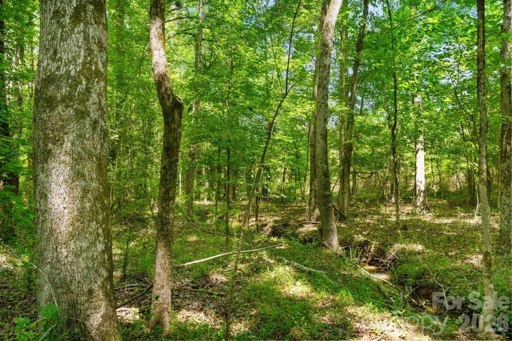0000 Cool Branch Road #5 Carlisle, SC 29706