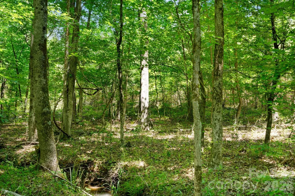 0000 Cool Branch Road #5 Carlisle, SC 29706