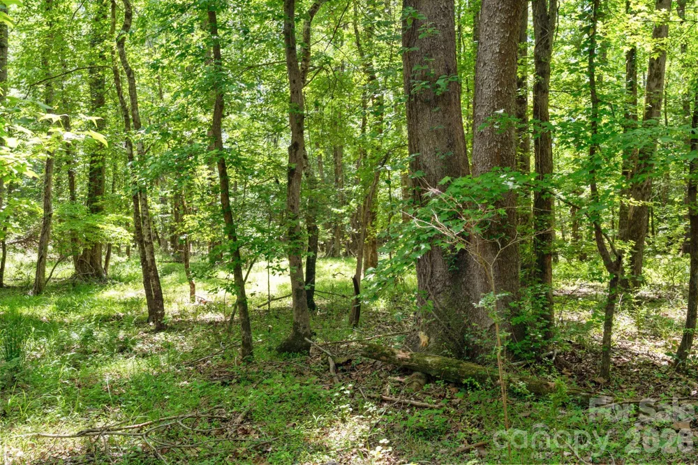 0000 Cool Branch Road #5 Carlisle, SC 29706