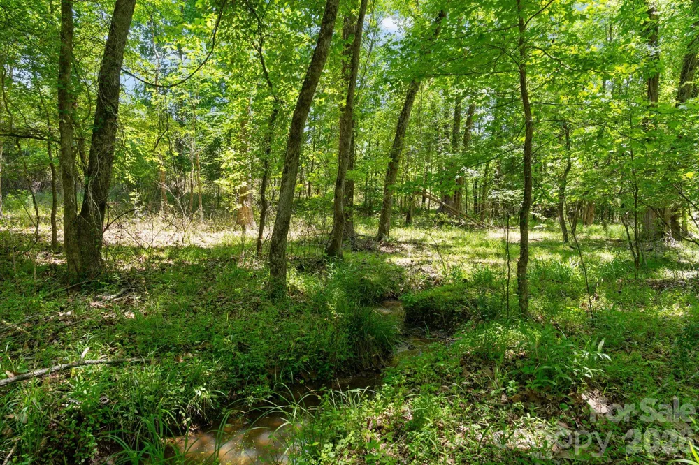 0000 Cool Branch Road #5 Carlisle, SC 29706