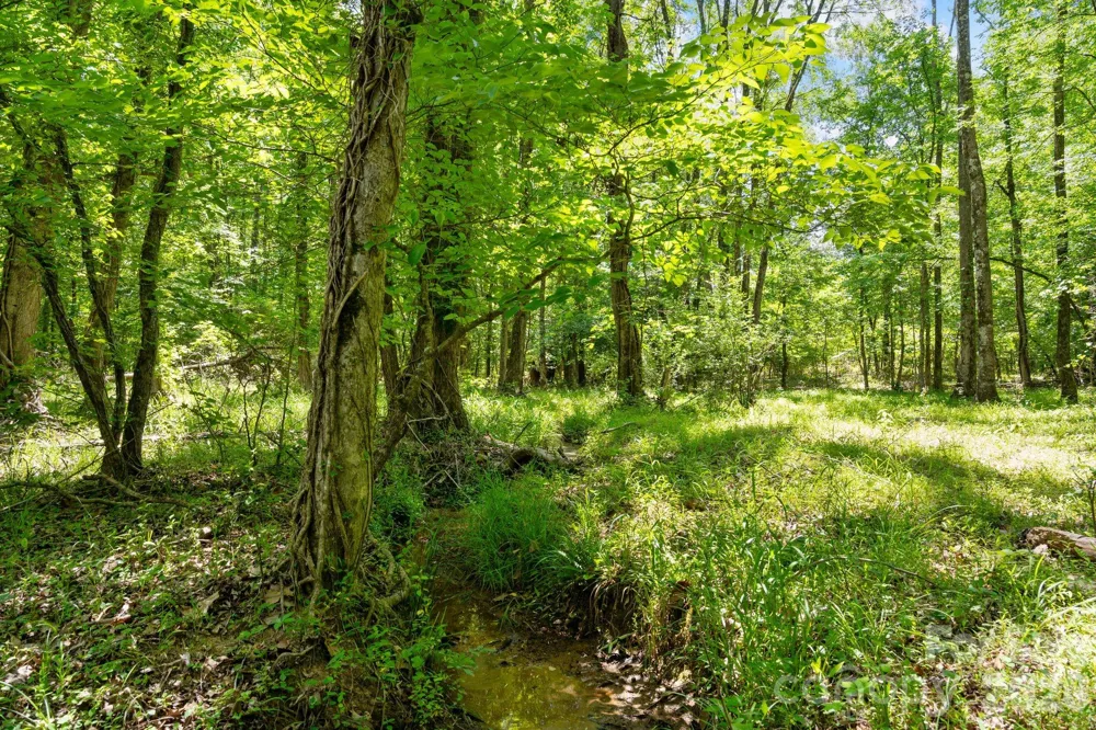 0000 Cool Branch Road #5 Carlisle, SC 29706
