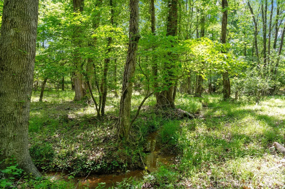 0000 Cool Branch Road #5 Carlisle, SC 29706