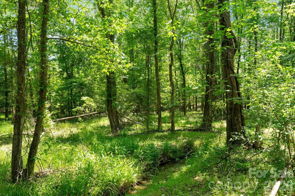 0000 Cool Branch Road #5 Carlisle, SC 29706