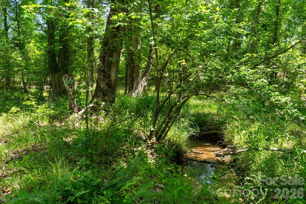 0000 Cool Branch Road #5 Carlisle, SC 29706