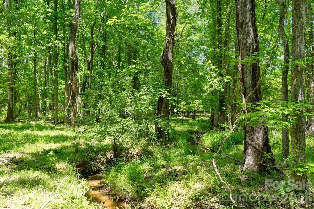 0000 Cool Branch Road #5 Carlisle, SC 29706