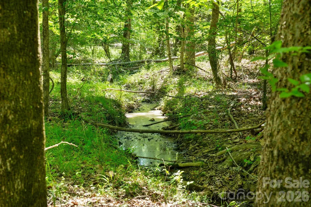 0000 Cool Branch Road #5 Carlisle, SC 29706