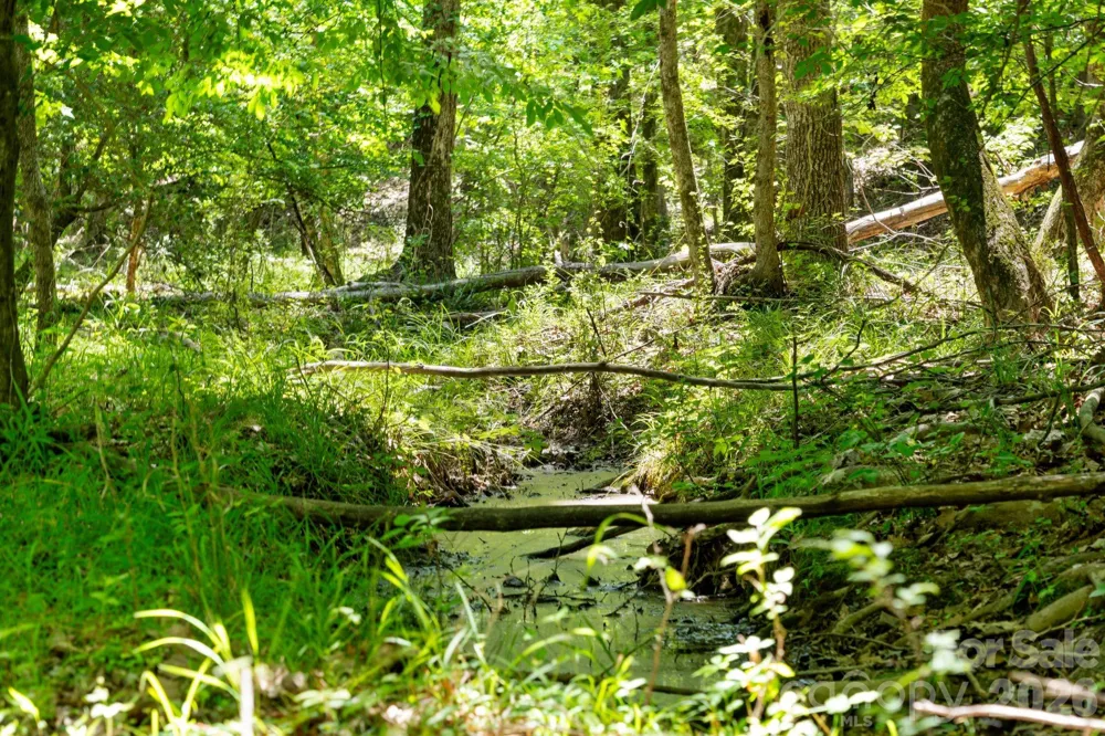 0000 Cool Branch Road #5 Carlisle, SC 29706