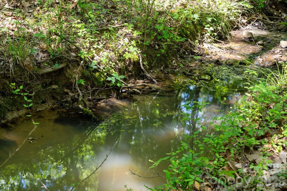 0000 Cool Branch Road #5 Carlisle, SC 29706