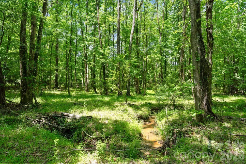 0000 Cool Branch Road #5 Carlisle, SC 29706