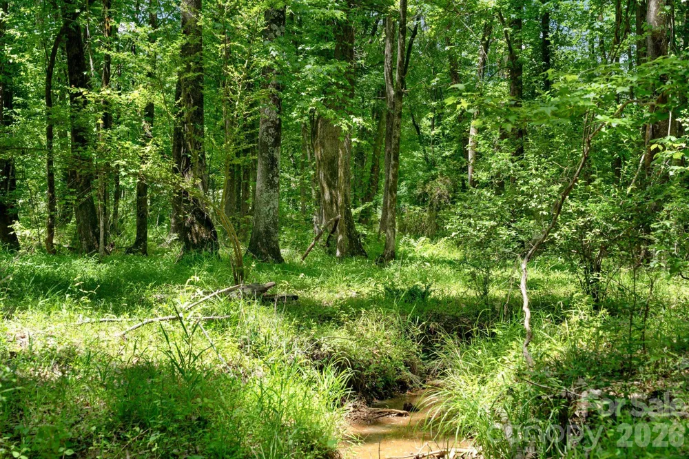 0000 Cool Branch Road #5 Carlisle, SC 29706