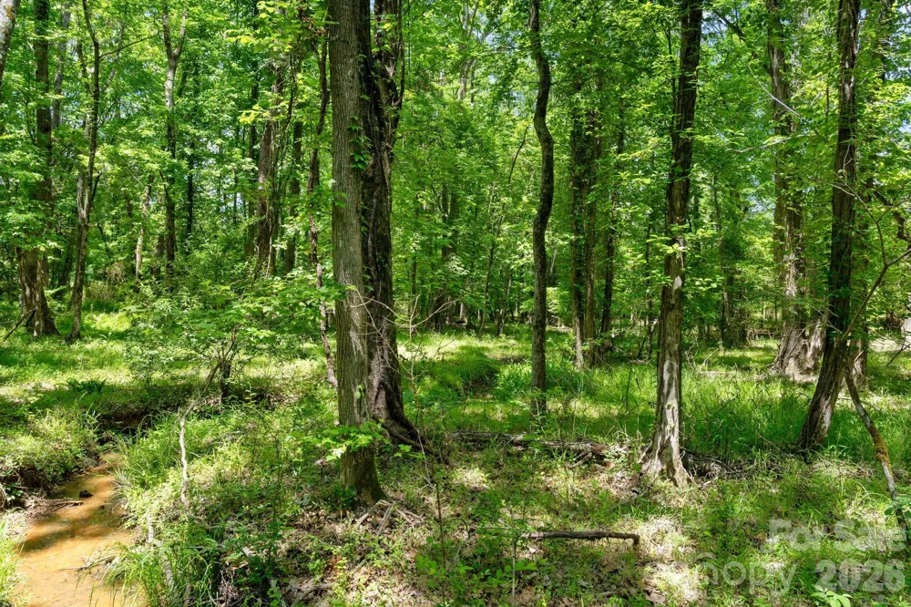0000 Cool Branch Road #5 Carlisle, SC 29706