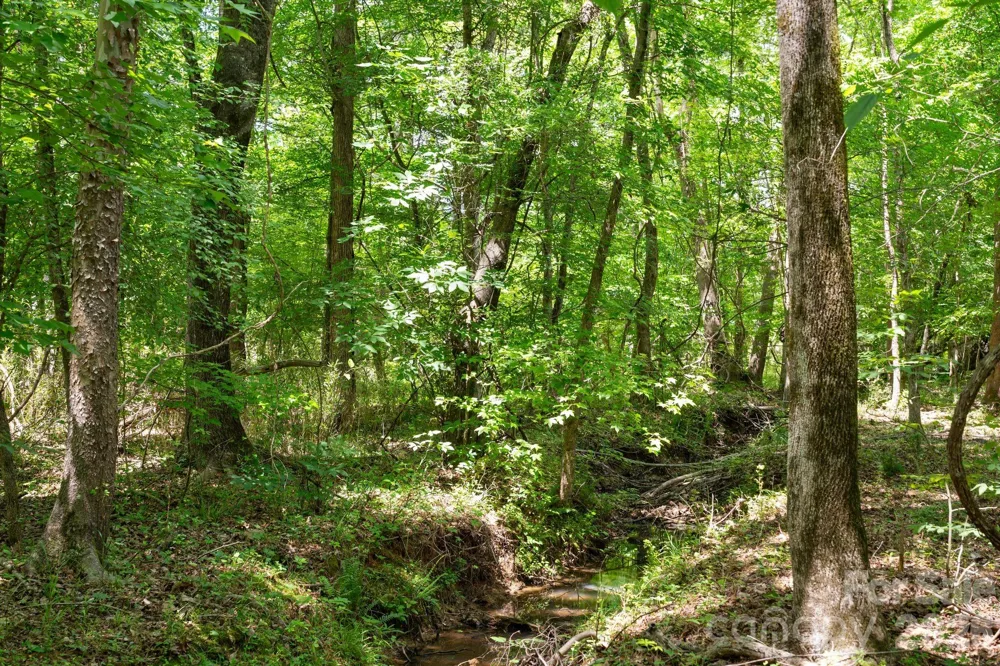 0000 Cool Branch Road #5 Carlisle, SC 29706