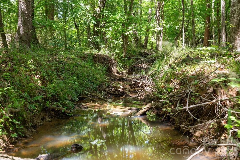 0000 Cool Branch Road #5 Carlisle, SC 29706
