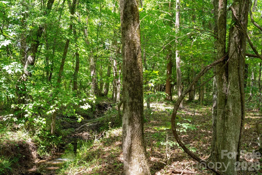 0000 Cool Branch Road #5 Carlisle, SC 29706