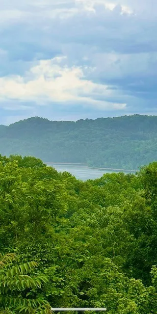 1038 Lakeside Dr Smithville, TN 37166
