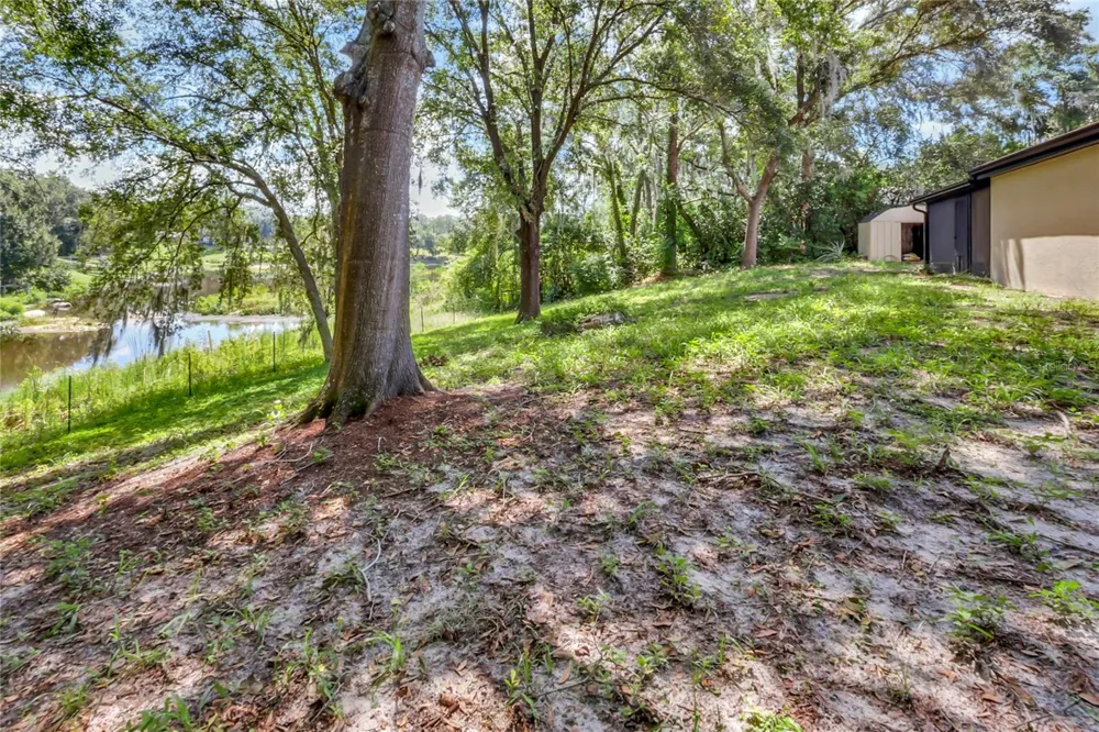 16123 E LAKE BURRELL DRIVE Lutz, FL 33549