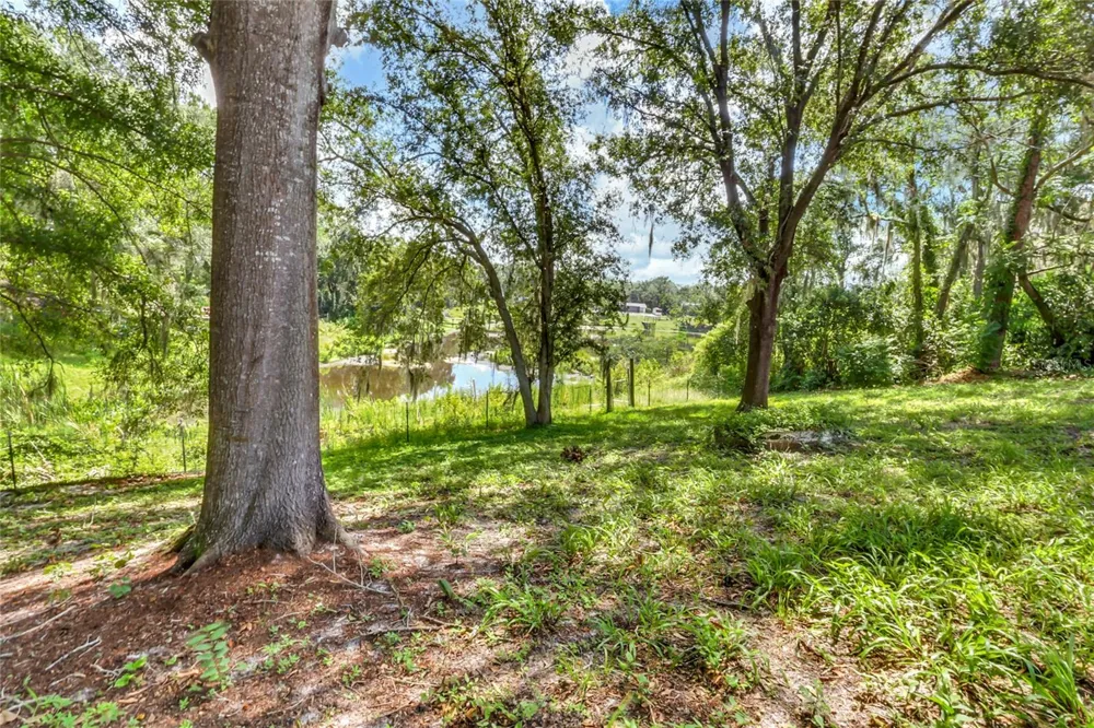 16123 E LAKE BURRELL DRIVE Lutz, FL 33549