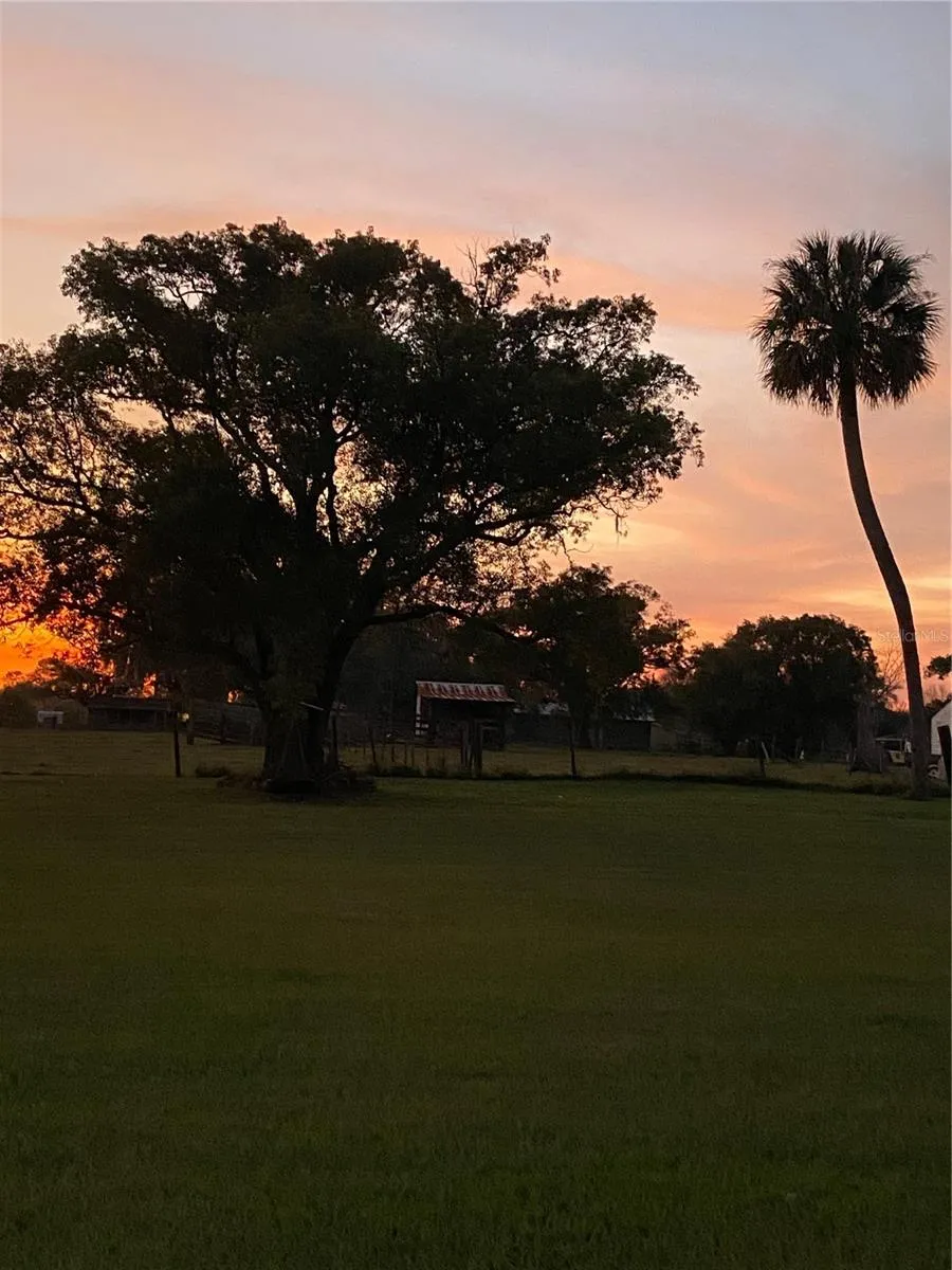 4280 TURNER ROAD Mulberry, FL 33860