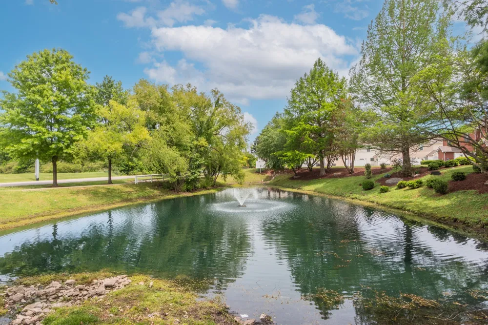 1055 Somerset Springs Dr Spring Hill, TN 37174