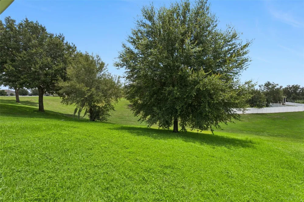 3254 LANDING VIEW Tavares, FL 32778