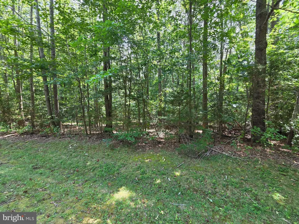 GREENPOINT LANDING ROAD Montross, VA 22520