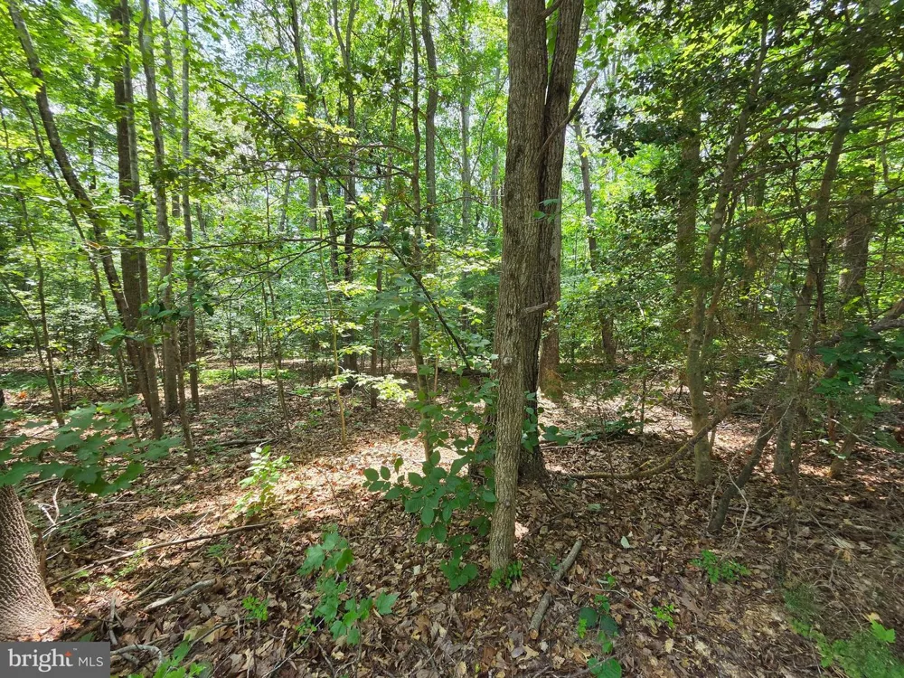 GREENPOINT LANDING ROAD Montross, VA 22520