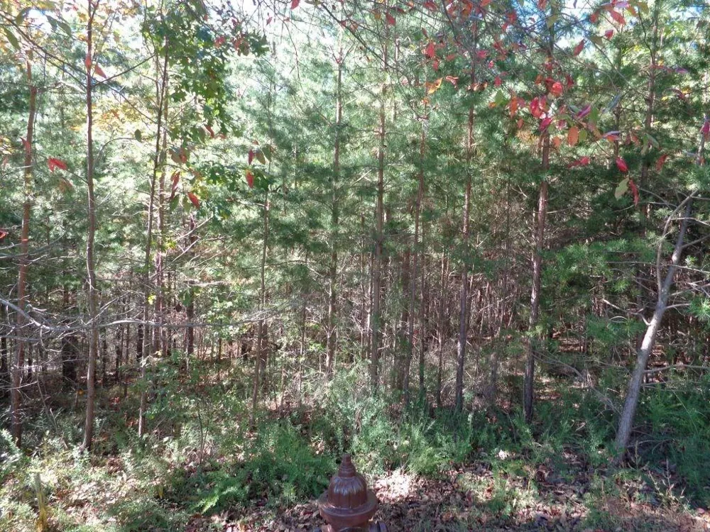 2474 Wedgewood Drive Big Canoe, GA 30143