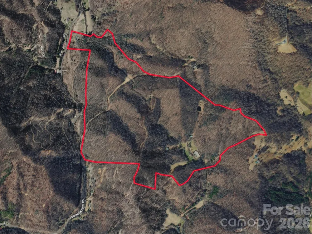 961 Wilson Branch Road Mars Hill, NC 28754