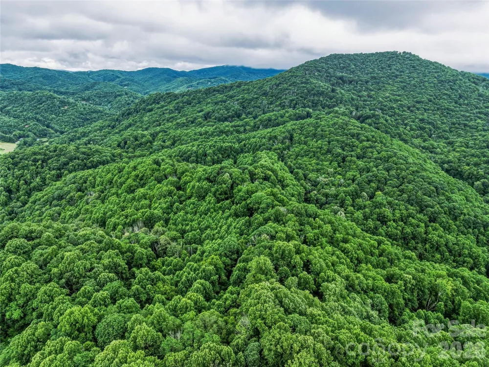 961 Wilson Branch Road Mars Hill, NC 28754
