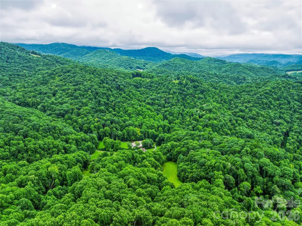 961 Wilson Branch Road Mars Hill, NC 28754
