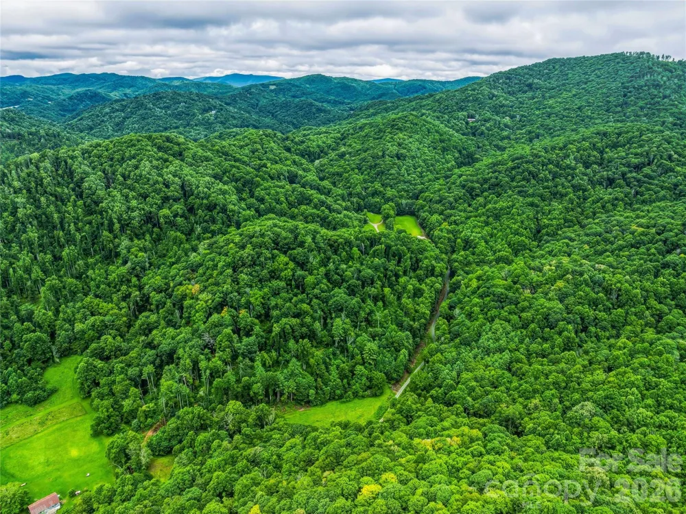 961 Wilson Branch Road Mars Hill, NC 28754