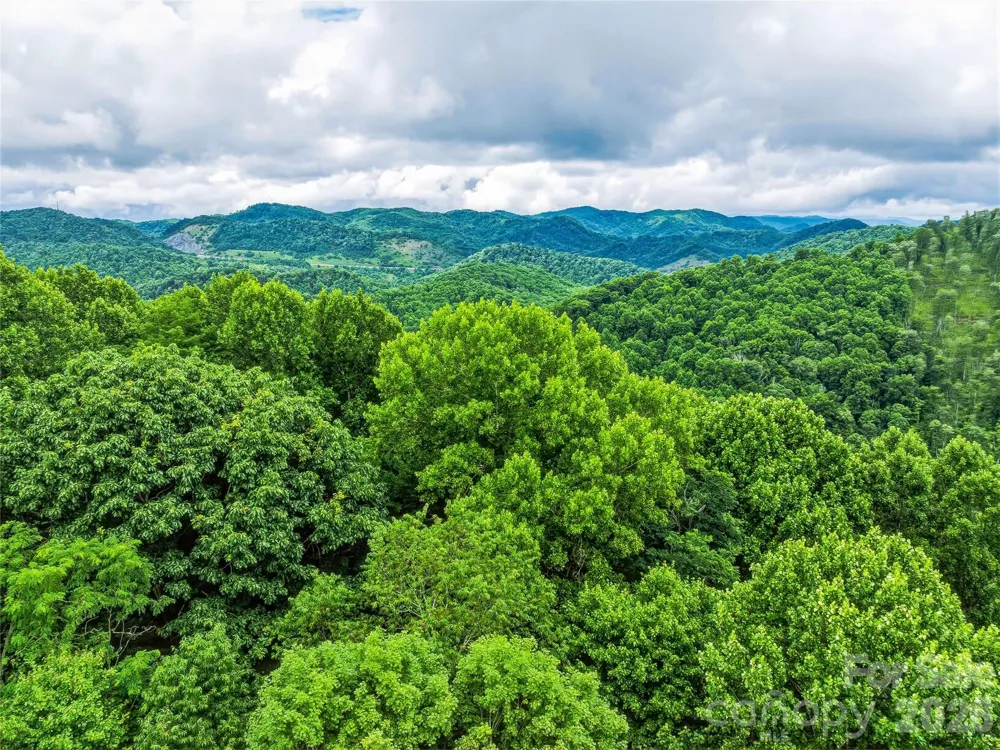961 Wilson Branch Road Mars Hill, NC 28754