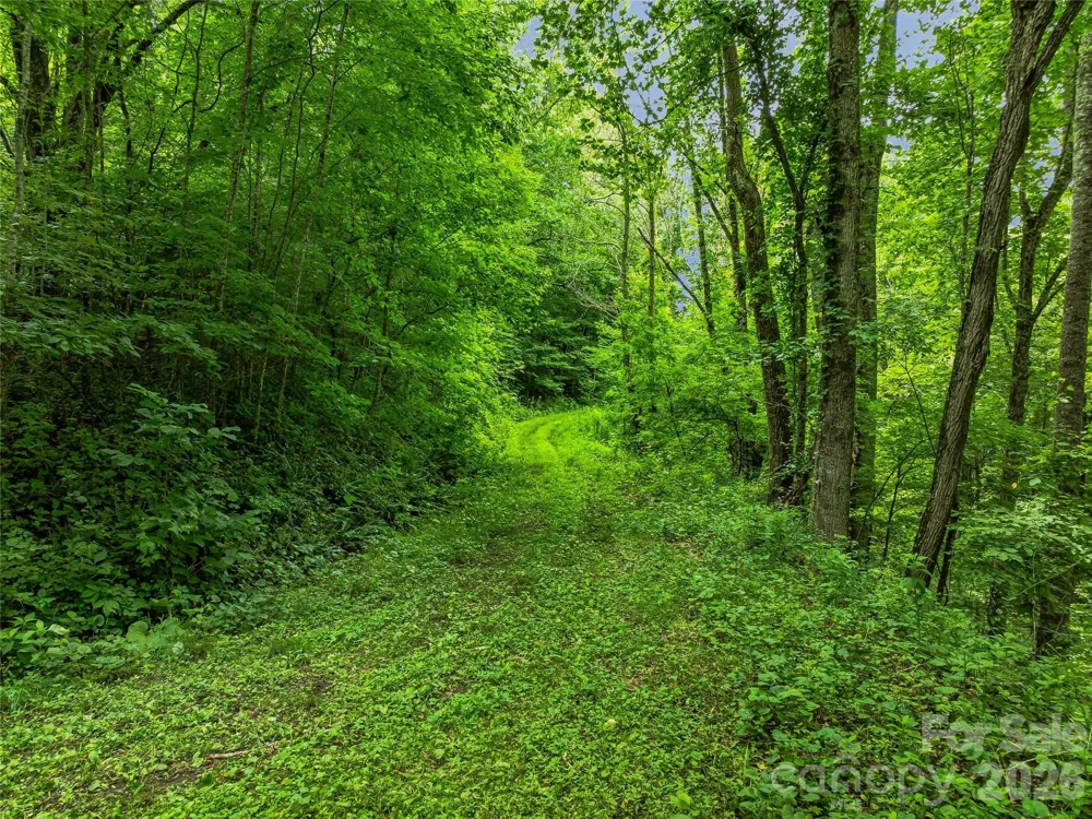 961 Wilson Branch Road Mars Hill, NC 28754