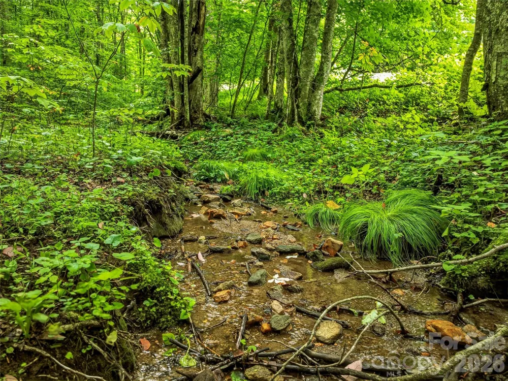 961 Wilson Branch Road Mars Hill, NC 28754