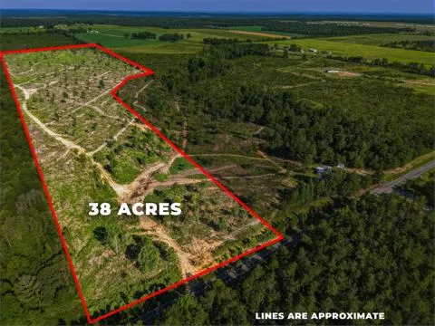 38 ACRES Ga Highway 0240 Conn