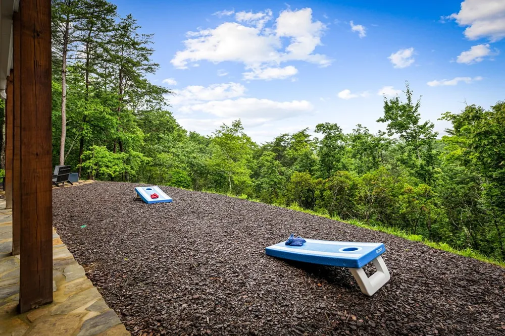 351 Black Dog Trail Morganton, GA 30560