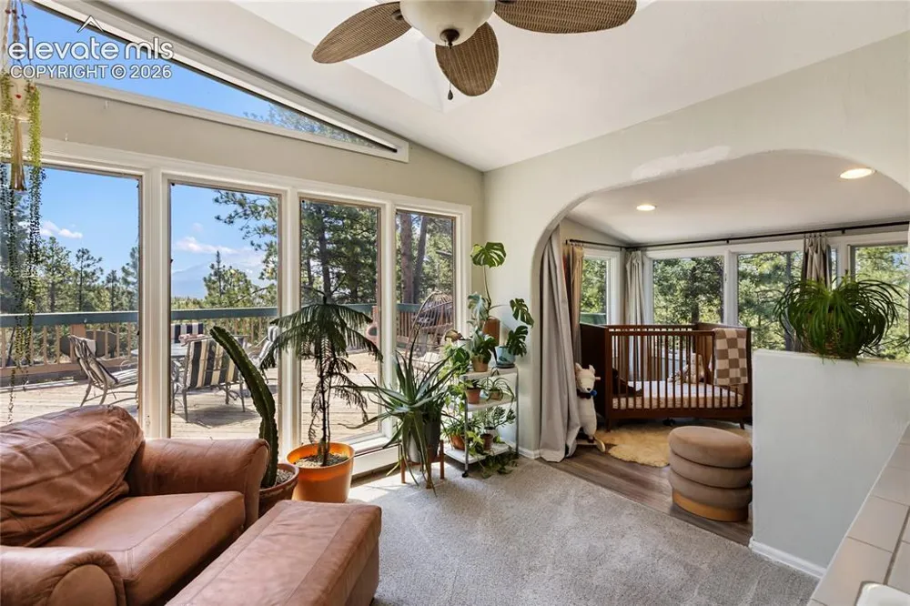 1150 Forest Hill Place Woodland Park, CO 80863