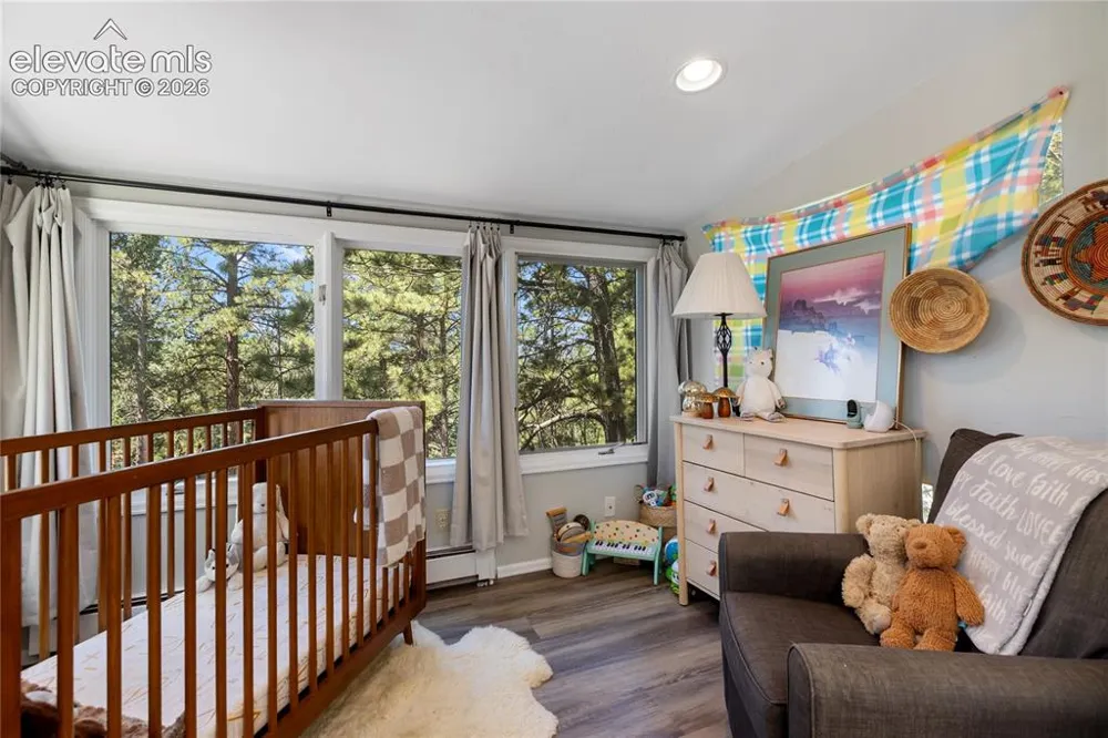 1150 Forest Hill Place Woodland Park, CO 80863