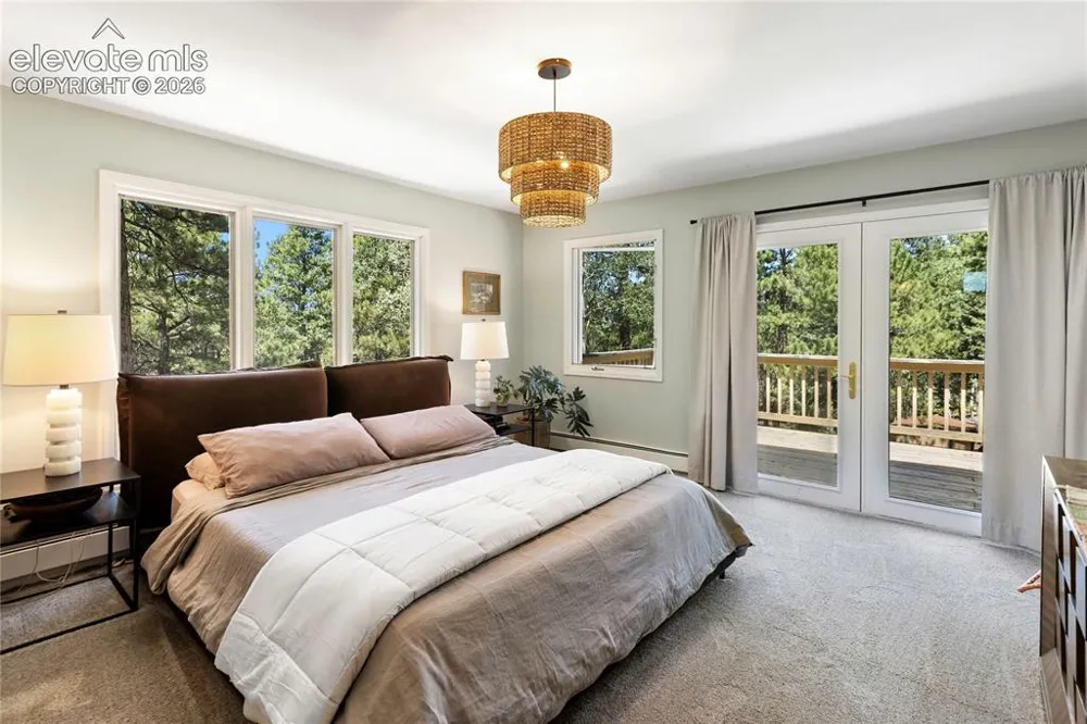 1150 Forest Hill Place Woodland Park, CO 80863