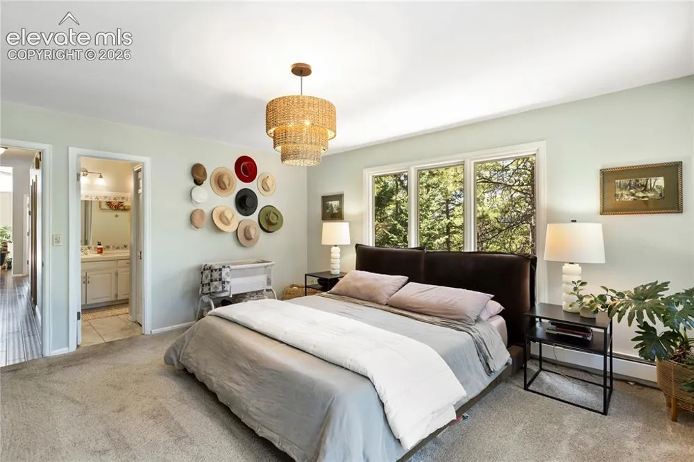 1150 Forest Hill Place Woodland Park, CO 80863