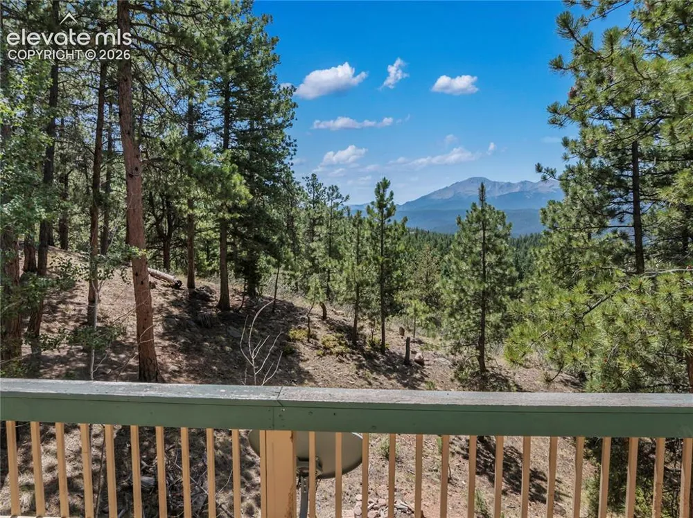 1150 Forest Hill Place Woodland Park, CO 80863